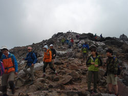 �o�R�q�������ė���