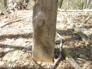 �O�p�R �R��(1091m)