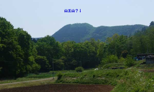 山王山