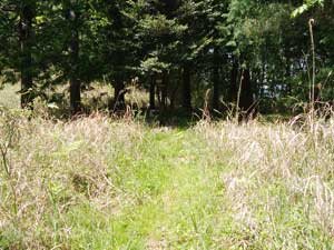 ���邢�J�����ꏊ