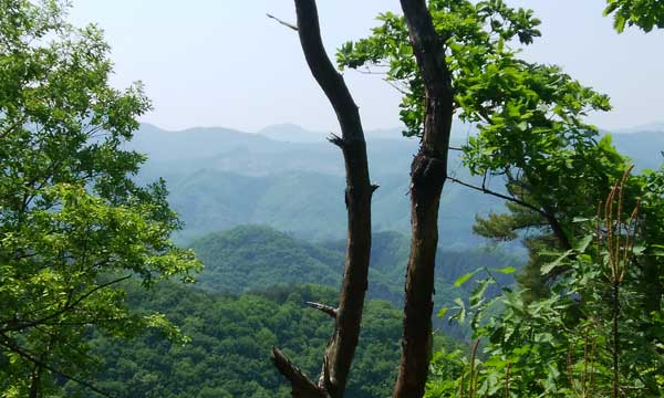 道中からの眺め
