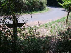 ��������߂����`