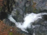 �����̑�