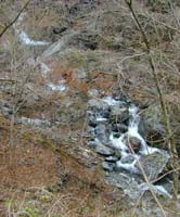 �R���Ƃ̑�