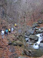 ��R�[�X�̕��i