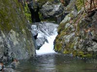 �^�C�R�I���V�̑�