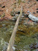 �ۑ��̋��H