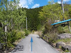 �ԗ��i���֎~