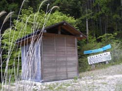 �����ȏ���