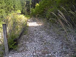 ��������͗ѓ���i��