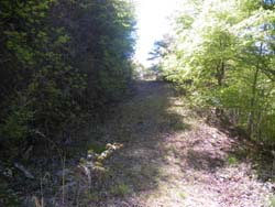 �ѓ���i��