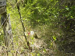 �����������b���I�H