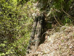 �ۑ��̓n��