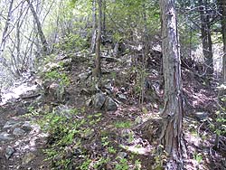 ���������̓�