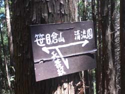 �����n�_