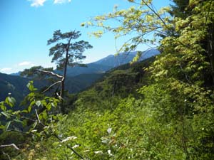 �o�R�����̓W�]�̗ǂ��ꏊ