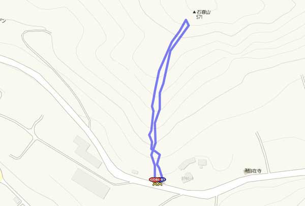 �Α��R�R�[�X���[�g