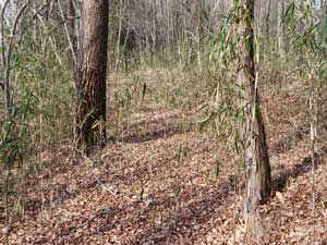 �����o�Ă���