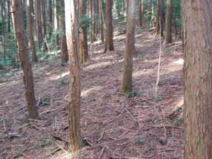 �����_��