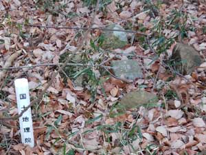 ��n�R�R��(263.4m)