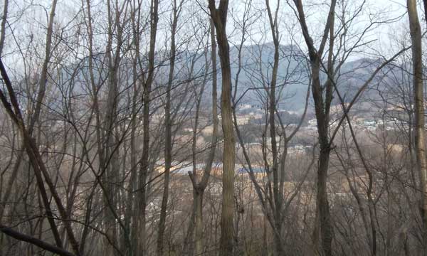 �R������̒���