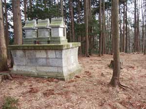 �����_��