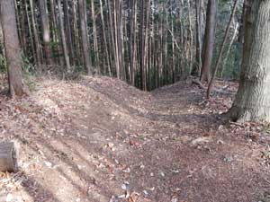 �͂����肵����