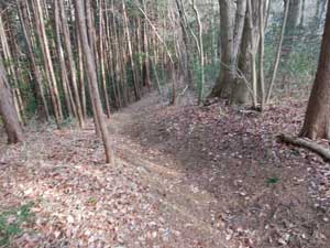 �͂����肵����