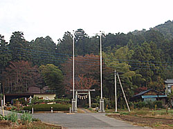 �����_��