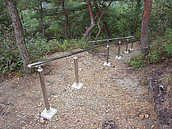 �^�V�����肷��