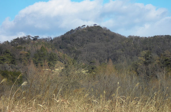 浅間山(佐野市)