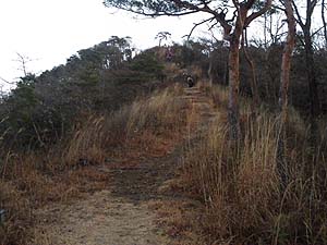 �R���܂ł��Ə����`