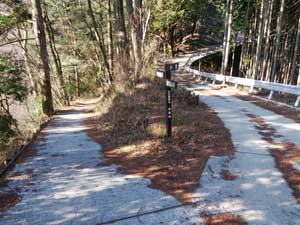 �ܑ��H��i�ށ`�`