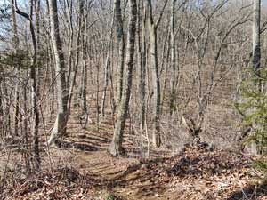 ��Ԑ_�Ђ���̓o�R���B