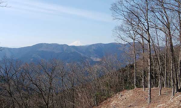 �W�]�䂩��̒���