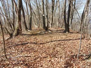 �����R����̓o�R���B