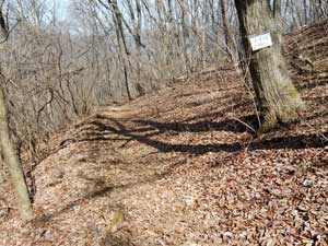 ���򂩂�̓o�R���B