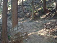 ���q���Ȃ́H