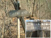 ���܂̕���