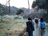 �[�͎R���H�����J