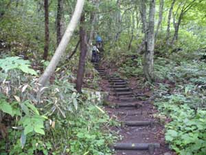 ���\�}�ȓ��E�ؓ�