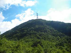 �S���͂܂����Ȃ��