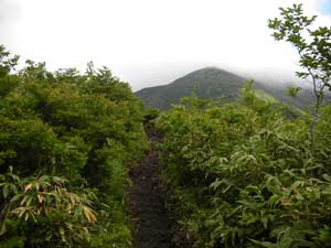 �����Ɍ�����͕̂��W�R�H