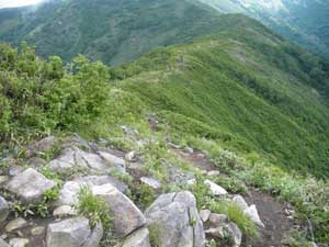 ���W�R�ւƌ������`