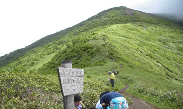 �s�[�N����̒���