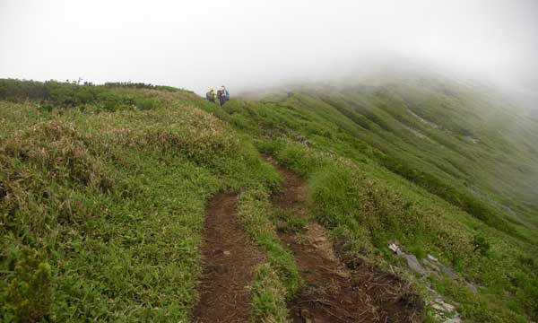 ���͑������E�E�E