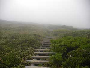 �R������́A�ؒi���������`�`