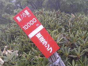 ���̏���