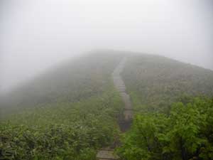 �R�����낤���`�`�H