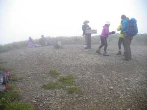 ��m�q�R(2026.2m)